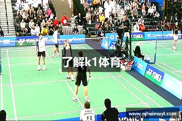 了解k1体育